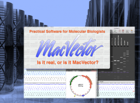 macvector transloation